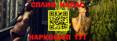 дживик Дубна