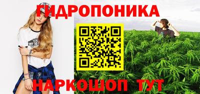 ПСИЛОЦИБИНОВЫЕ ГРИБЫ Гусиноозёрск