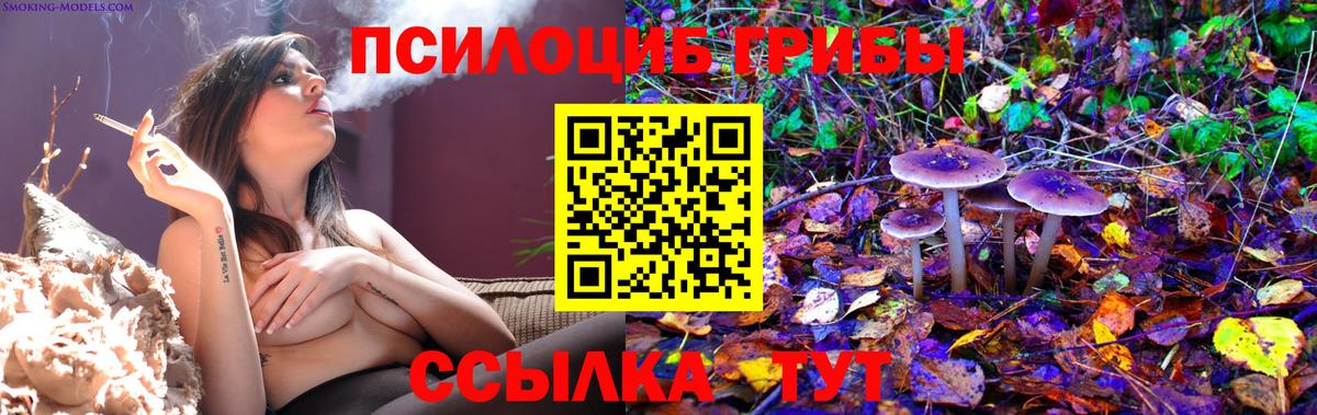 Галлюциногенные грибы MAGIC MUSHROOMS Кинешма