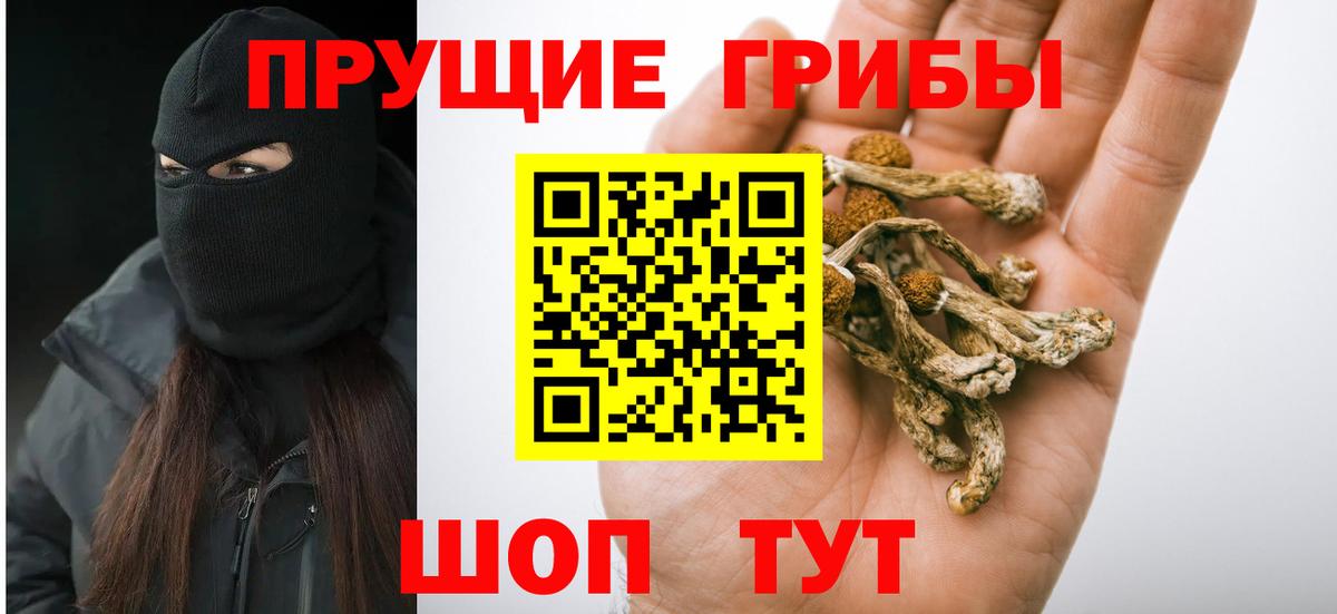 Псилоцибиновые грибы Psilocybe  Псилоцибиновые грибы Cubensis  Кинешма  что такое наркотик  Вход с VPN 