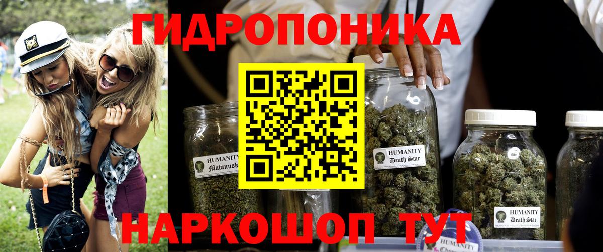 Бошки марихуана White Widow  Бошки марихуана MAZAR  Конопля Ganja  Кинешма  Вход с VPN 